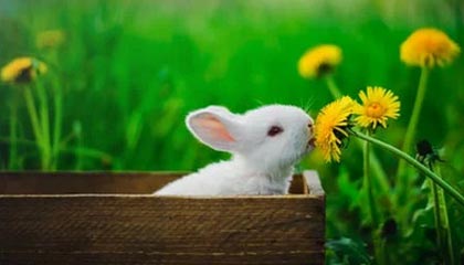 沛县伴游，定制QQ：3494206190微信：act1322